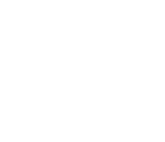 Viega